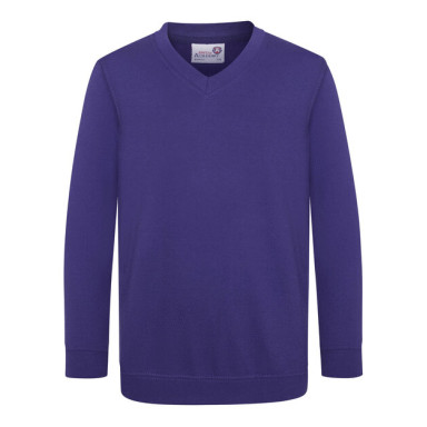 AWD KIDS ACADEMY V-NECK SWEATSHIRT