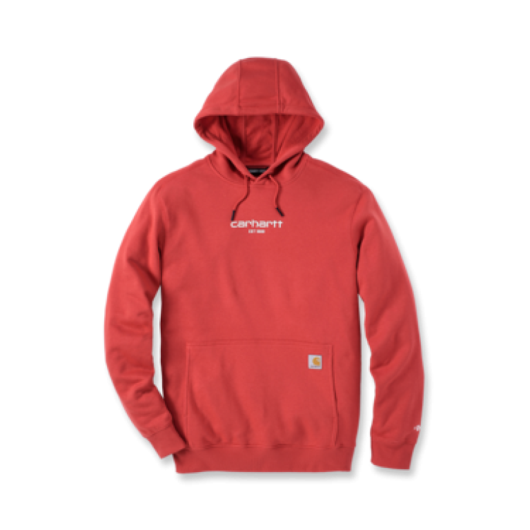 Carhartt TS5569 M Force RlxdFt LW Grphc Swtshrt