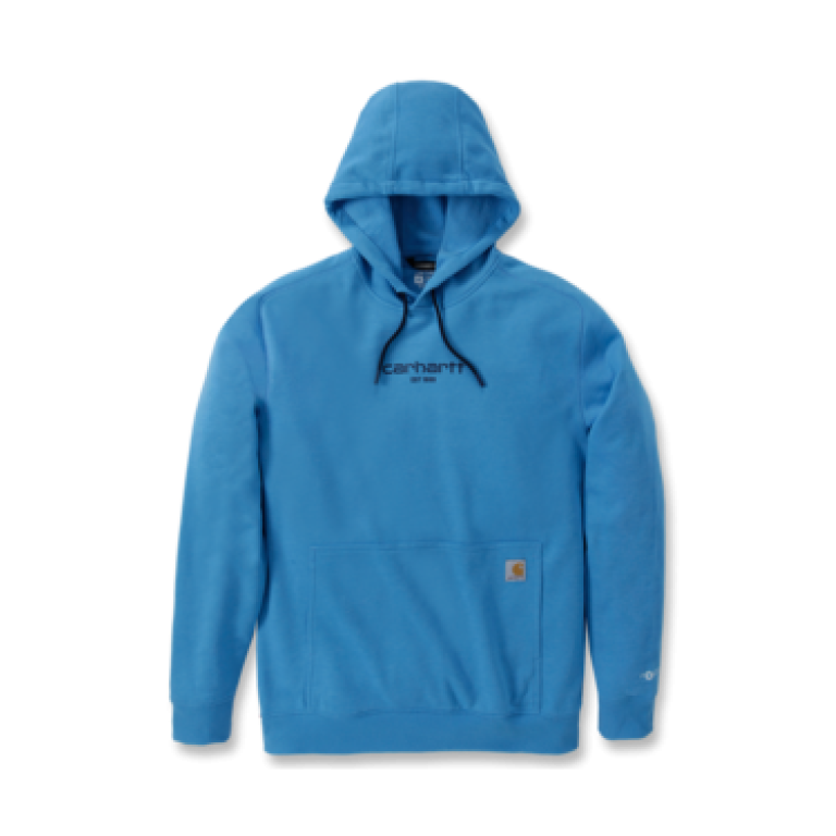 Carhartt TS6655 M Force RlxdFt LW Grphc Swtshrt