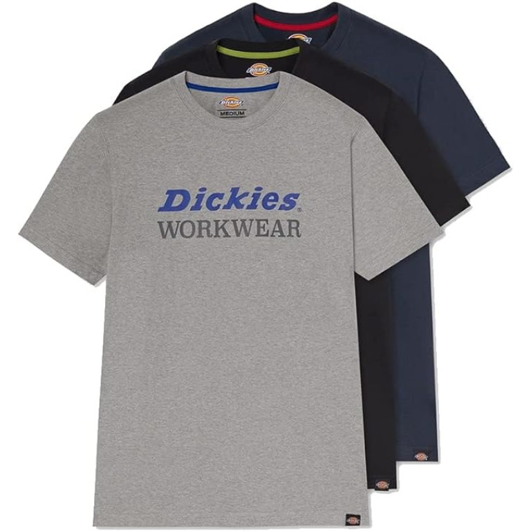 DICKIES RUTLAND GRAPHIC TEE SHIRT