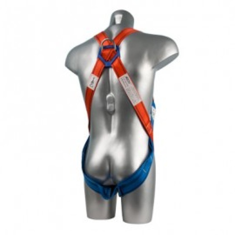 Portwest Safety Full Body 2 Point Harness