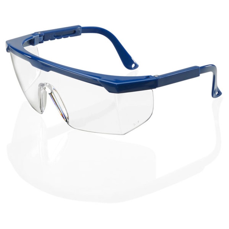 BeeSwift Portland Safety Spectacles (Pack of 10)