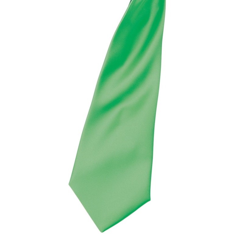 Premier Colours Satin Clip Tie